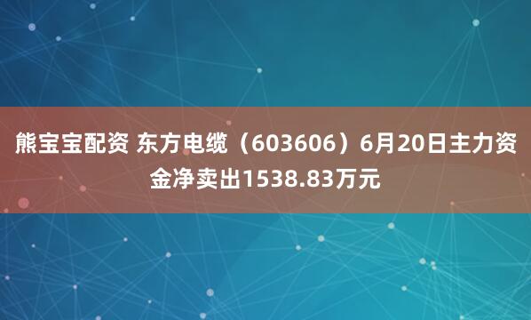 熊宝宝配资 东方电缆（603606）6月20日主力资金净卖出1538.83万元