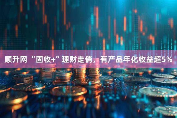 顺升网 “固收+”理财走俏，有产品年化收益超5%