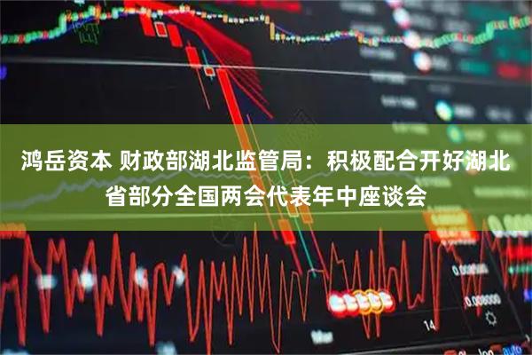鸿岳资本 财政部湖北监管局：积极配合开好湖北省部分全国两会代表年中座谈会