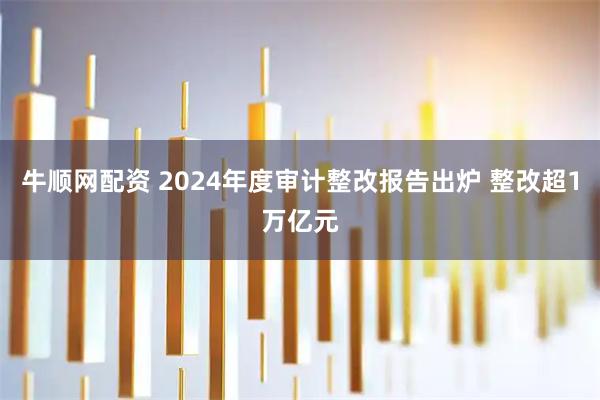 牛顺网配资 2024年度审计整改报告出炉 整改超1万亿元