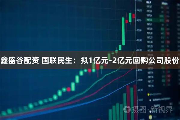 鑫盛谷配资 国联民生：拟1亿元-2亿元回购公司股份